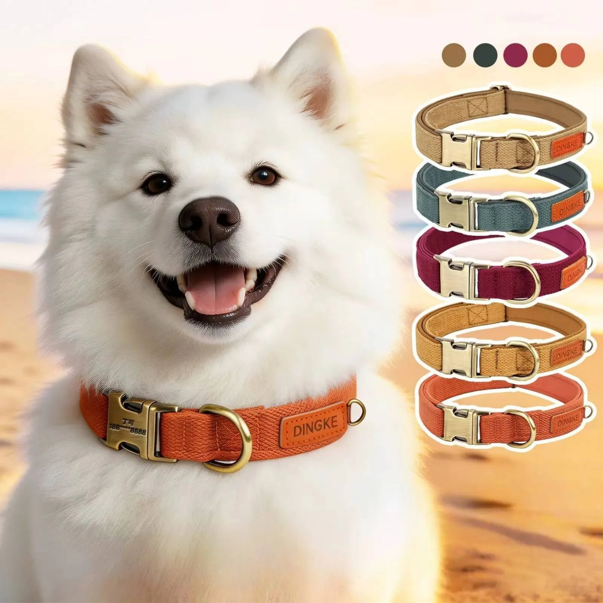 Canine Collars