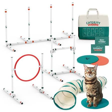 Feline Training