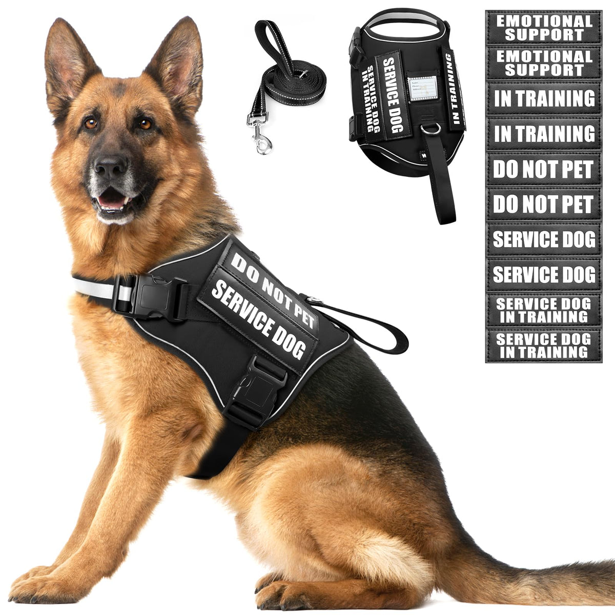 Harnesses