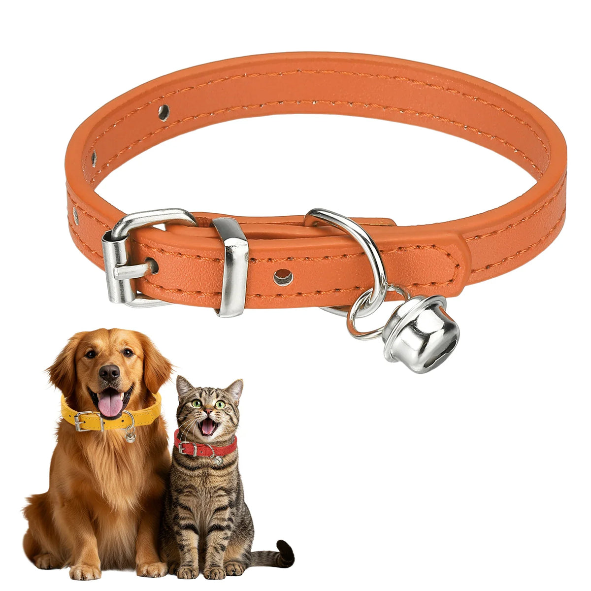 Collars & Leashes
