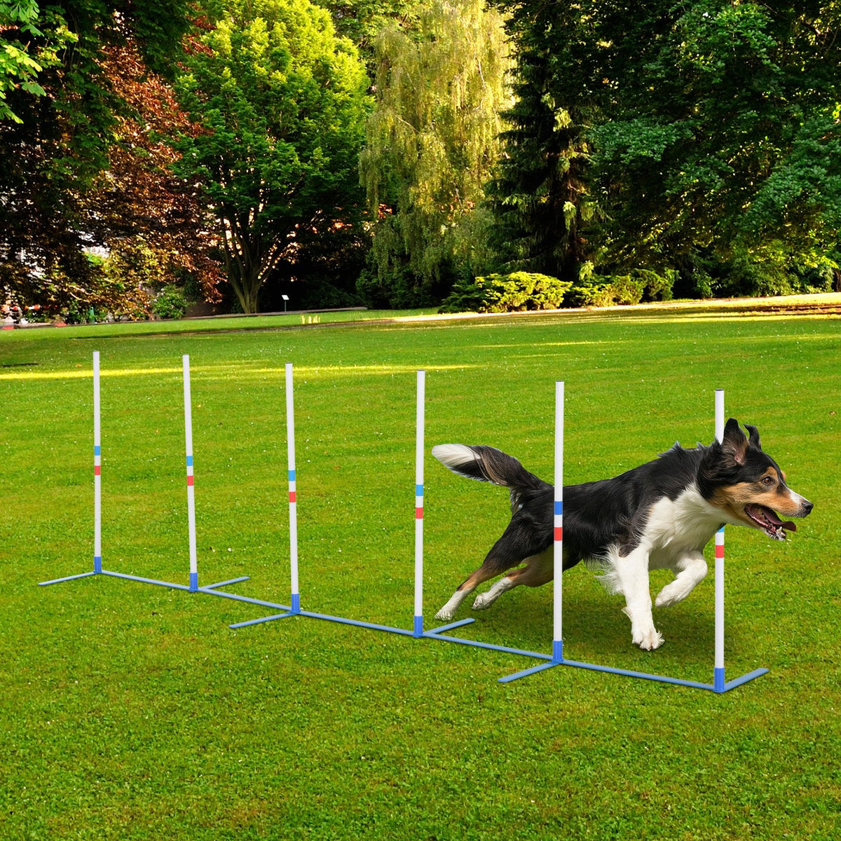 Physical Fitness