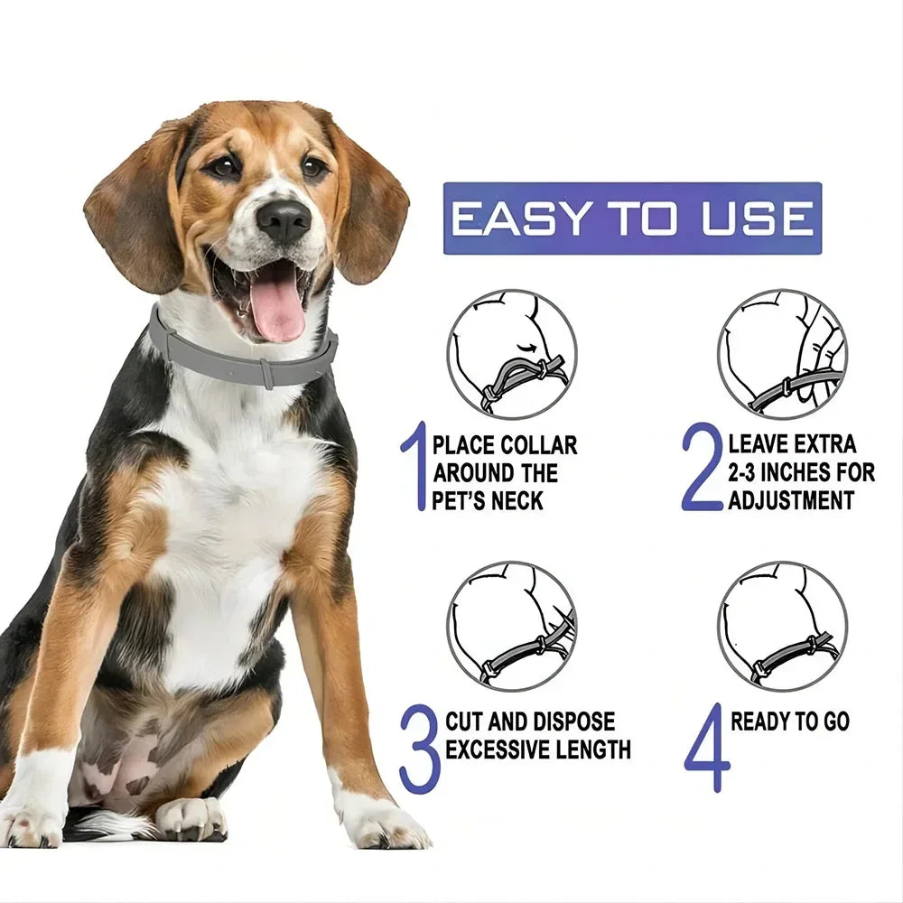Dog Collars Rubber Pet Cat Neck Ring 38cm 70cm Retractable Pet Cat Puppy Collar Adjustable Dog Accessories Natural Pet Supplies