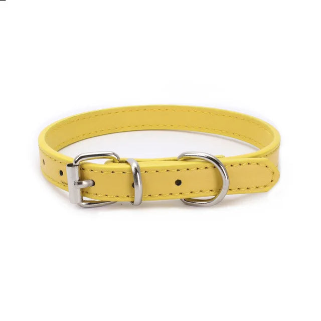 Pet Supplies Dog Collar Alloy Buckle Dog Chain Cat Necklace Size Adjustable for Small and Medium-sized Dog Collars Dog Supplies